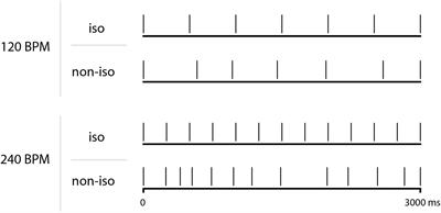 Temporal Predictions in Space: Isochronous Rhythms Promote Forward Projections of the Body
